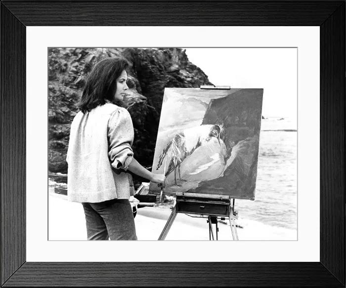 Framed Print : THE SANDPIPER, Elizabeth Taylor, 1965 Framed Print : THE SANDPIPER, Elizabeth Taylor, 1965