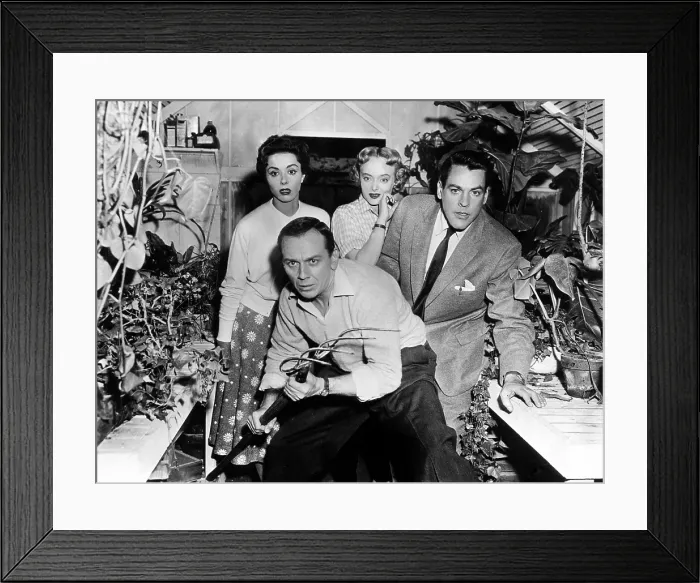 Framed Print : INVASION OF THE BODY SNATCHERS, Dana Wynter, King Donovan, Carolyn Jones, Kevin McCarthy, 1956 Framed Print : INVASION OF THE BODY SNATCHERS, Dana Wynter, King Donovan, Carolyn Jones, Kevin McCarthy, 1956
