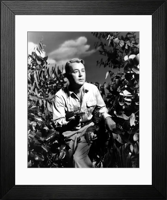 Framed Print : SANTIAGO, Alan Ladd, 1956 Framed Print : SANTIAGO, Alan Ladd, 1956