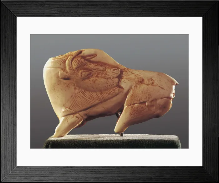 Framed Print : Bison turning the head. 15th-10th mil. BC. Copy after an original found in the Madeleine Cave, Dordogne. Upper Paleolithic. Magdalenian. Sculpture on ivory. SPAIN. Barcelona Framed Print : Bison turning the head. 15th-10th mil. BC. Copy after an original found in the Madeleine Cave, Dordogne. Upper Paleolithic. Magdalenian. Sculpture on ivory. SPAIN. Barcelona