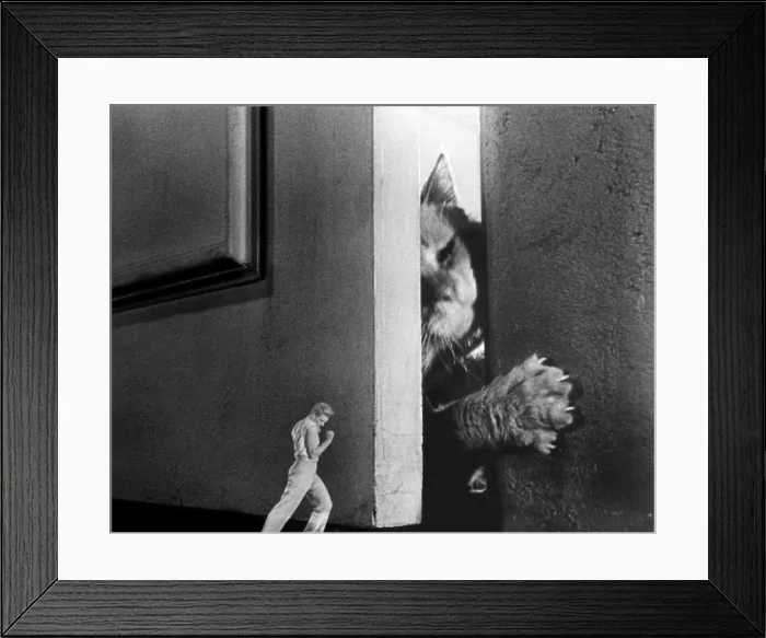 Framed Print : THE INCREDIBLE SHRINKING MAN, Grant Williams, 1957 Framed Print : THE INCREDIBLE SHRINKING MAN, Grant Williams, 1957