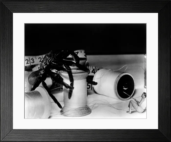 Framed Print : THE INCREDIBLE SHRINKING MAN, Grant Williams, 1957