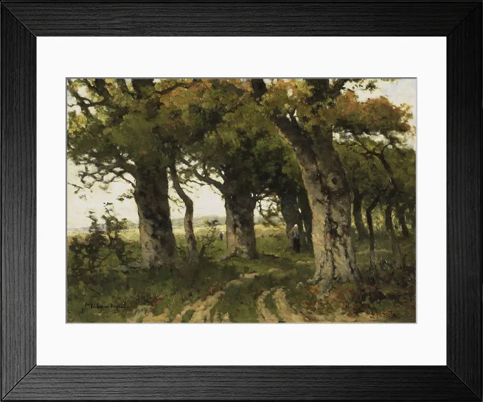 Framed Print : Avenue of Oaks in Late Summer, by Maria Bilders-van Bosse, 1880-99, Dutch painting, oil on canvas. (BSLOC_2016_1_131) Framed Print : Avenue of Oaks in Late Summer, by Maria Bilders-van Bosse, 1880-99, Dutch painting, oil on canvas. (BSLOC_2016_1_131)