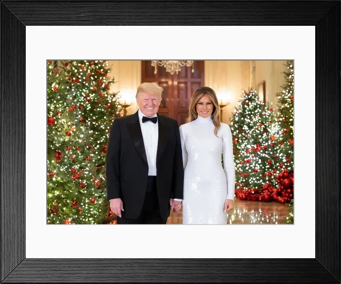 Framed Print : 2018 Official Christmas Portrait of President Donald Trump and First Lady Melania Trump, Dec. 15, 2018 (BSLOC_2019_2_200)