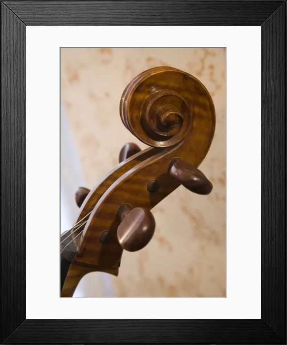 Framed Print : ITALY. Cremona. Luthier's workshop. Pegbox of string instrument. AISA / Everett Collection**US SALES ONLY**