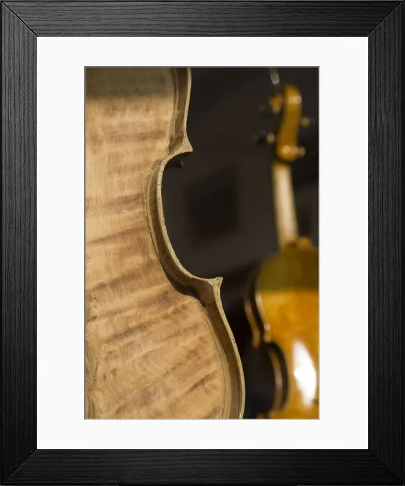 Framed Print : ITALY. Cremona. Luthier's workshop. Making the soundbox of a violin. AISA / Everett Collection**US SALES ONLY**