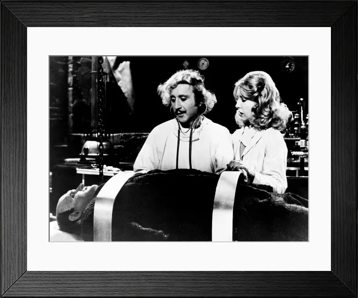 Framed Print : YOUNG FRANKENSTEIN, from left, Peter Boyle, Gene Wilder, Teri Garr, 1974, TM and Copyright 20th Century Fox Film Corp. All rights reserved Framed Print : YOUNG FRANKENSTEIN, from left, Peter Boyle, Gene Wilder, Teri Garr, 1974, TM and Copyright 20th Century Fox Film Corp. All rights reserved