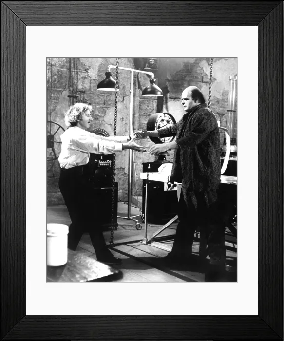 Framed Print : YOUNG FRANKENSTEIN, Gene Wilder, Peter Boyle, 1974, TM and Copyright 20th Century Fox Film Corp. All rights reserved