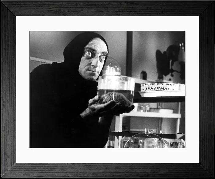Framed Print : YOUNG FRANKENSTEIN, Marty Feldman, 1974. TM and Copyright 20th Century Fox Film Corp. All rights reserved