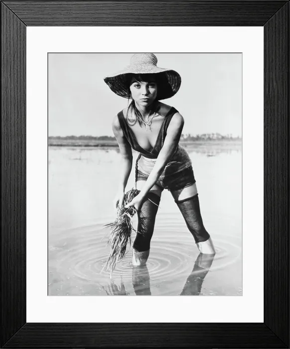 Framed Print : RICE GIRL, (aka LA RISAIA), Elsa Martinelli, 1956
