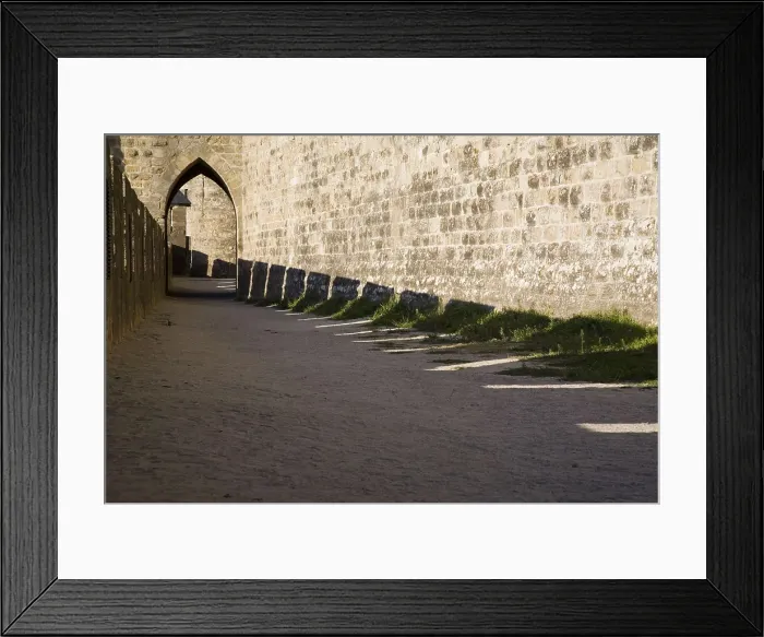 Framed Print : FRANCE. Carcassonne. Medieval city or Cit. AISA / Everett Collection**US SALES ONLY**