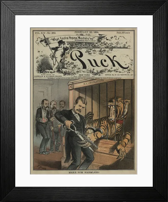 Framed Print : MAKE HIM HARMLESS! PUCK Magazine 1884 cover shows a youthful Theodore Roosevelt clipping the long claws the Tammany Tiger. The Tigers jar is locked by Public Uprising