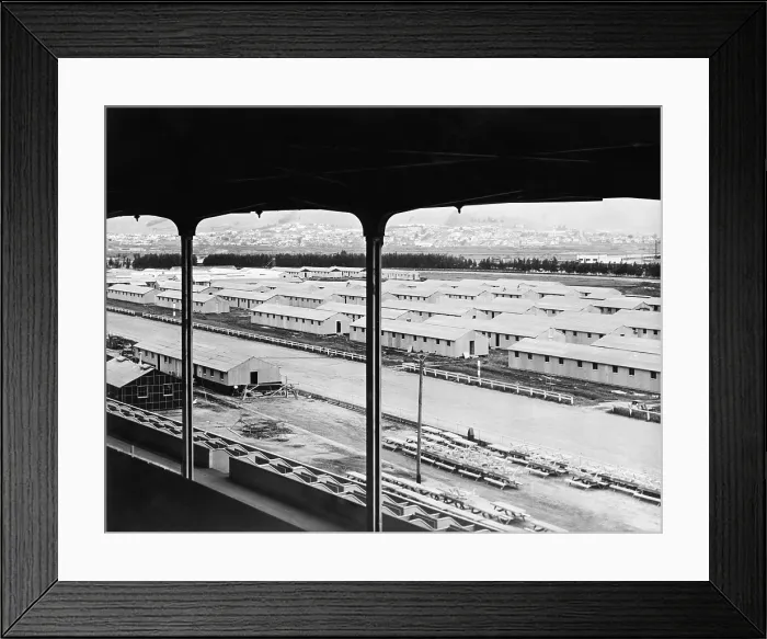 Framed Print : Construction of barracks for Japanese Americans interned during World War 2. Temporary assembly center under construction in the Tanforan Racetrack in San Bruno, California. Ca