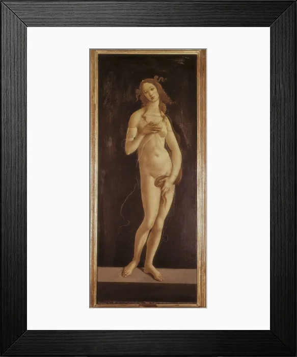 Framed Print : BOTTICELLI, Alessandro di Mariano dei Filipepi, also called Sandro (1445-1510). Venus Pudica. ca. 1486. Renaissance art. Quattrocento. Florentine school. Oil. ITALY. Turin