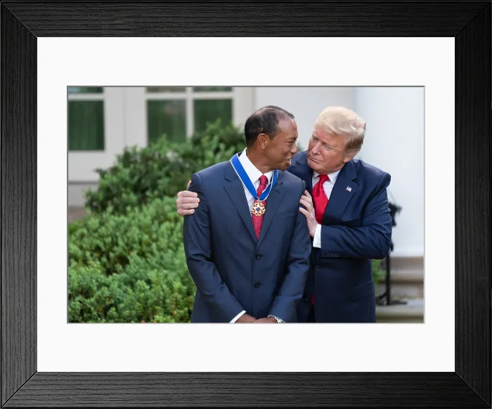 Framed Print : President Donald J. Trump presents the Presidential Medal of Freedom to golf champion Tiger Woods, May 6, 2019 (BSLOC_2019_5_164) Framed Print : President Donald J. Trump presents the Presidential Medal of Freedom to golf champion Tiger Woods, May 6, 2019 (BSLOC_2019_5_164)