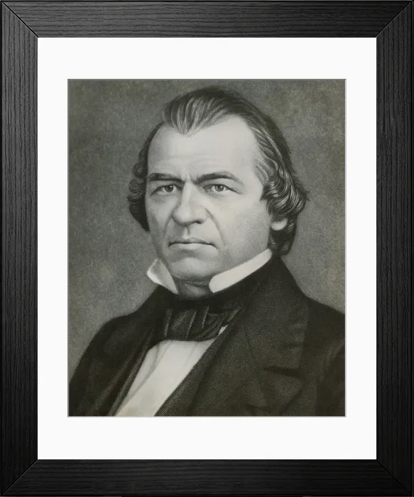 Framed Print : Andrew Johnson during his first term as a Democratic US Senator from Tennessee. 1857-62 (BSLOC_2019_5_95) Framed Print : Andrew Johnson during his first term as a Democratic US Senator from Tennessee. 1857-62 (BSLOC_2019_5_95)