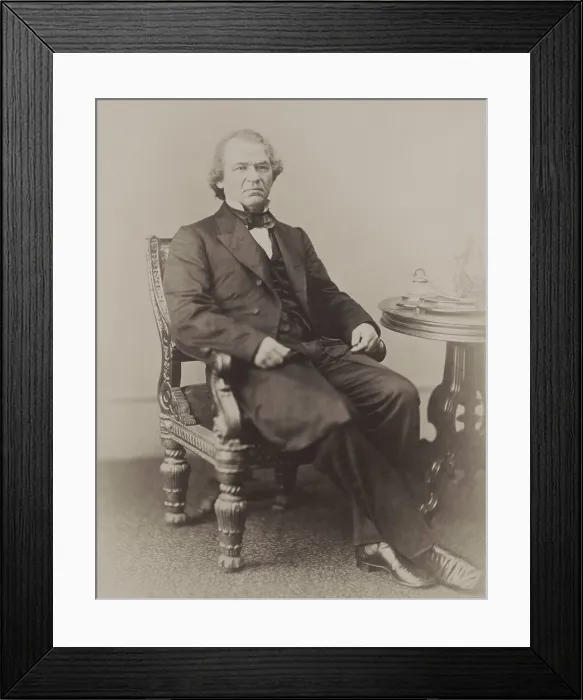 Framed Print : President Andrew Johnson in 1866 portrait photograph by Alexander Gardner (BSLOC_2019_5_99)