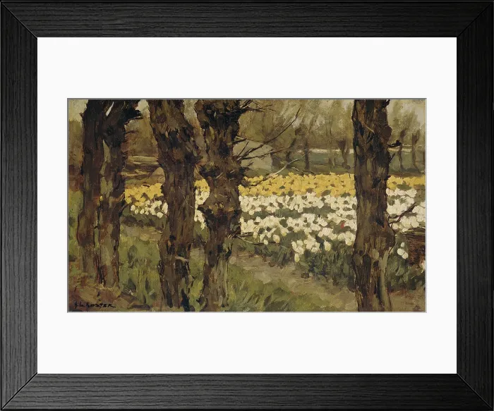 Framed Print : Bollenveldenn (Bulb Field), by Anton L. Koster, 1880-1937, Dutch painting, oil on panel. Field with blooming yellow and white tulips edged by tree rows. (BSLOC_2016_1_142)