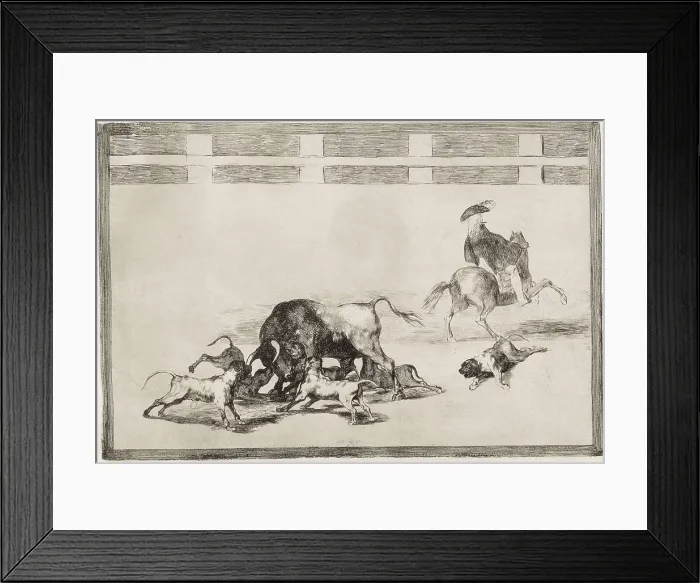 Framed Print : GOYA Y LUCIENTES, Francisco de (1746-1828). They loose dogs on the bull. 1815-1816. Plate 25 of 'The Art of Bullfighting'. Etching. SPAIN. Madrid. National Library
