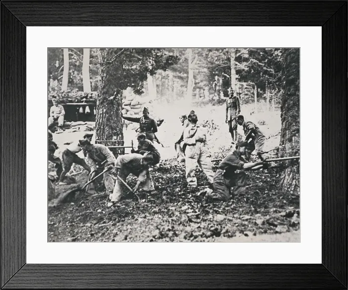 Framed Print : Spanish Civil War (1936-1939). Legionnaires in the front of the Sierra chopping pines and filling sandbags to make barricades against the enemy aviation