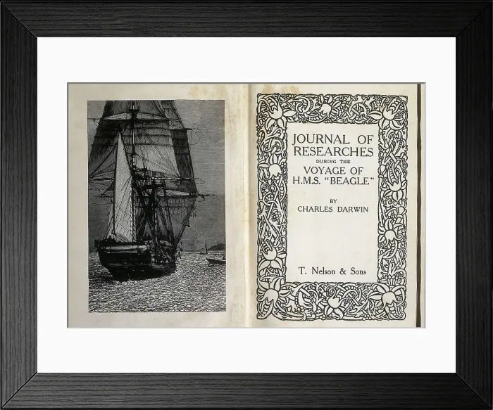 Framed Print : DARWIN, Charles Robert (1809-1882). 'Journal of Researches during the Voyage of H.M.S. Beagle'. Front page and illustration of the Beagle. Etching. SPAIN. Barcelona Framed Print : DARWIN, Charles Robert (1809-1882). 'Journal of Researches during the Voyage of H.M.S. Beagle'. Front page and illustration of the Beagle. Etching. SPAIN. Barcelona