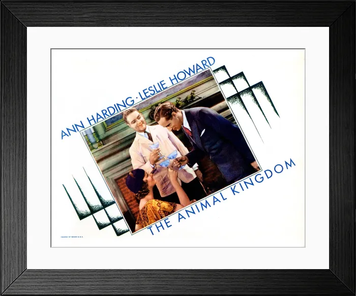 Framed Print : THE ANIMAL KINGDOM, lobbycard, from left: Myrna Loy, William Gargan, Leslie Howard, 1932 Framed Print : THE ANIMAL KINGDOM, lobbycard, from left: Myrna Loy, William Gargan, Leslie Howard, 1932