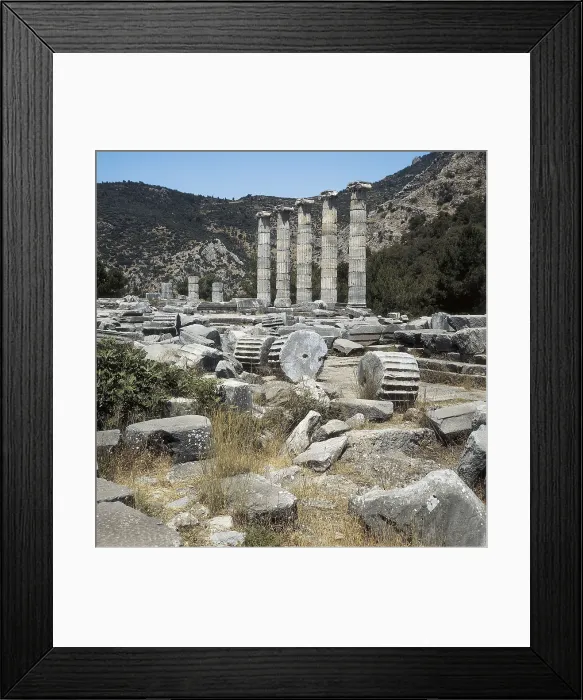 Framed Print : TURKEY. Priene. Temple of Athena (4th c. BC). Ionic columns. Hellenistic art. Architecture. AISA / Everett Collection**US SALES ONLY** Framed Print : TURKEY. Priene. Temple of Athena (4th c. BC). Ionic columns. Hellenistic art. Architecture. AISA / Everett Collection**US SALES ONLY**