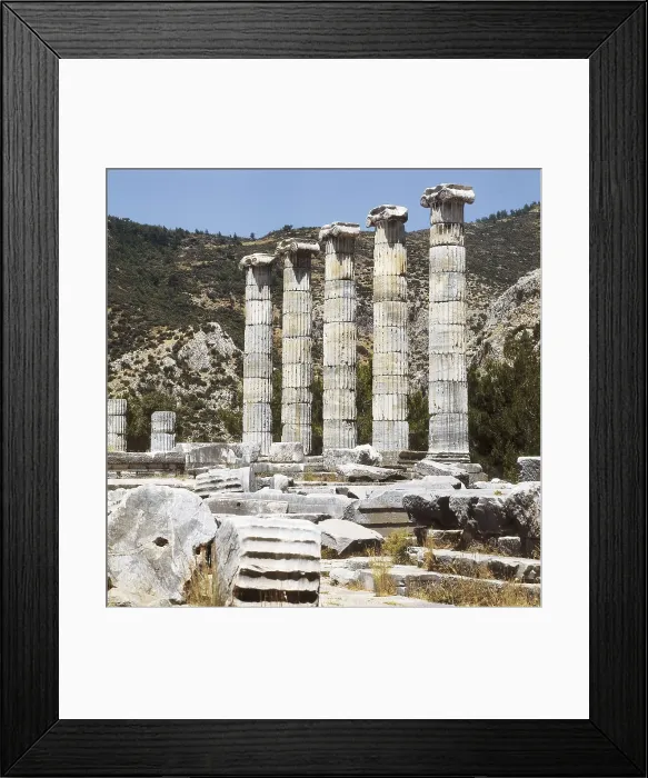 Framed Print : TURKEY. Priene. Temple of Athena (4th c. BC). Ionic columns. Hellenistic art. Architecture. AISA / Everett Collection**US SALES ONLY**