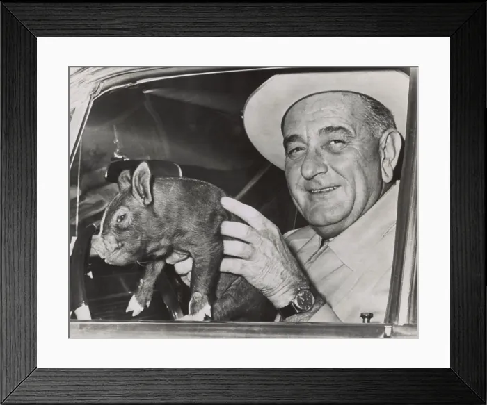 Framed Print : President Lyndon Johnson holds a squirming baby pig for photographers at the LBJ Ranch, March 28, 1964