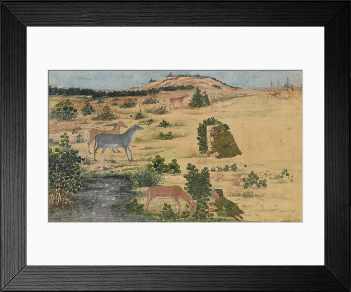Framed Print : PREPARATIONS FOR A HUNT, Indian, 1670-80s, painting, opaque watercolor on paper. Four imperial huntsmen shelter behind screens as four nilgais, Indian blue bulls, graze nearby