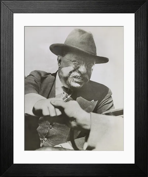 Framed Print : Ex-President Theodore Roosevelt speaking to a crowd in Birmingham, Ala. March 10-12, 1911. TR and Jane Addams addressed the 7th National Child Labor Committee Conference
