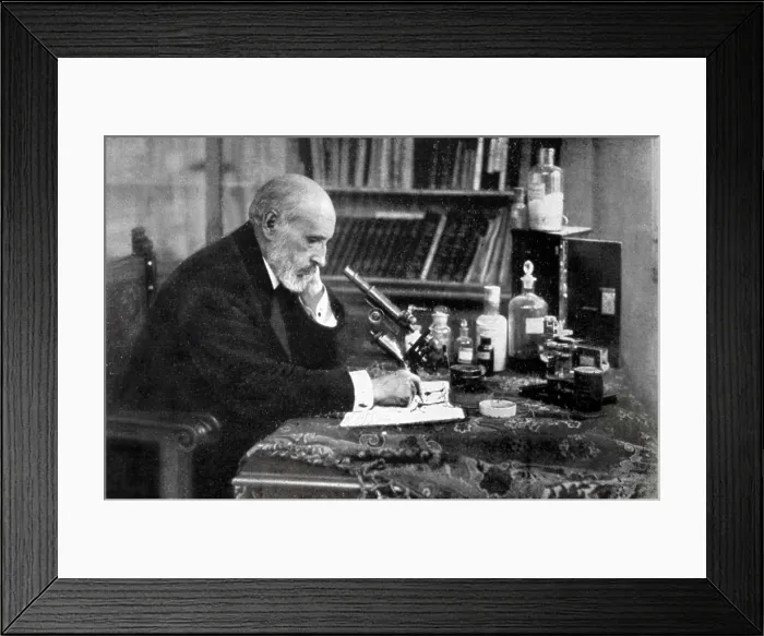 Framed Print : RAMON Y CAJAL, Sainttiago (1852-1934). Working in his studio. AISA / Everett Collection**US SALES ONLY**