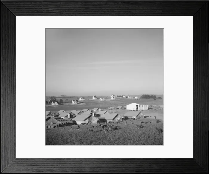 Framed Print : New Deal Resettlement project, Westmoreland Homesteads, in Pennsylvania, Sept. 1936