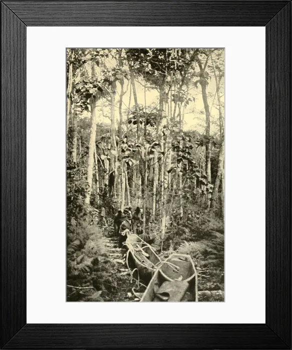 Framed Print : The Roosevelt-Rondon Expeditions 15 Brazilian porters drag canoes over a portage Framed Print : The Roosevelt-Rondon Expeditions 15 Brazilian porters drag canoes over a portage