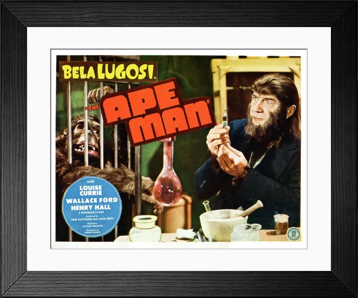 Framed Print : THE APE MAN, Bela Lugosi, lobbycard, 1943 Framed Print : THE APE MAN, Bela Lugosi, lobbycard, 1943
