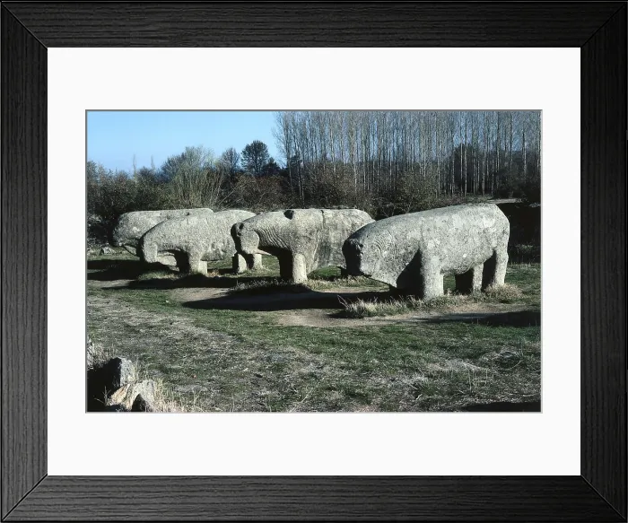 Framed Print : Bulls of Guisando. 3rd BC. SPAIN. El Tiemblo. Iberian art. Sculpture on rock. AISA / Everett Collection**US SALES ONLY**