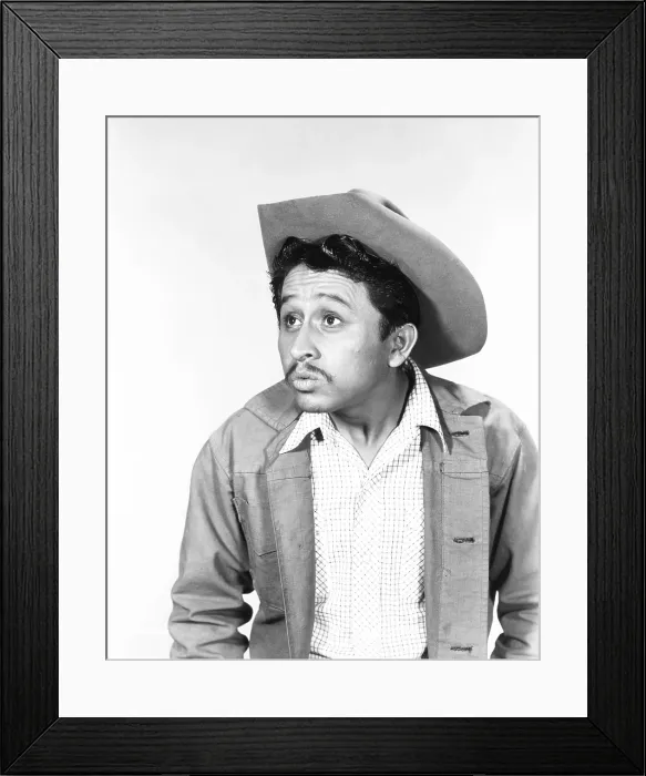 Framed Print : RICHCHET ROMANCE, Pedro Gonzales-Gonsales, 1954