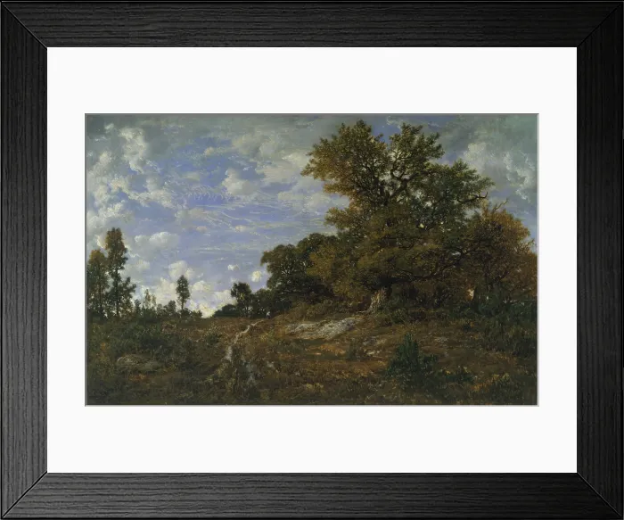 Framed Print : THE EDGE OF THE WOODS AT MONTS-GIRARD, by Theodore Rousseau, 1852-54, French painting, oil on wood Framed Print : THE EDGE OF THE WOODS AT MONTS-GIRARD, by Theodore Rousseau, 1852-54, French painting, oil on wood