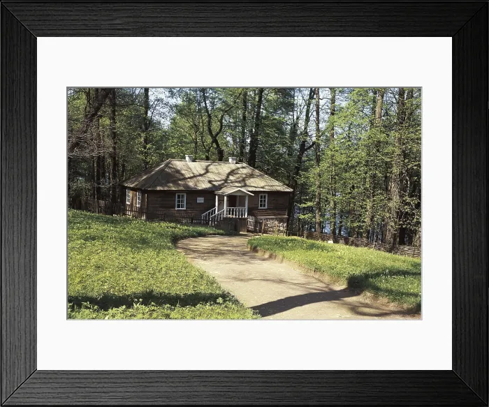 Framed Print : PUSHKIN, Aleksandr Sergeyevich (1799-1837). Trigorkoye Bathhouse, three kilometers from Mikhailovskoye, where they say that the writer Pushkin wrote his song 'Bacchanal' Framed Print : PUSHKIN, Aleksandr Sergeyevich (1799-1837). Trigorkoye Bathhouse, three kilometers from Mikhailovskoye, where they say that the writer Pushkin wrote his song 'Bacchanal'