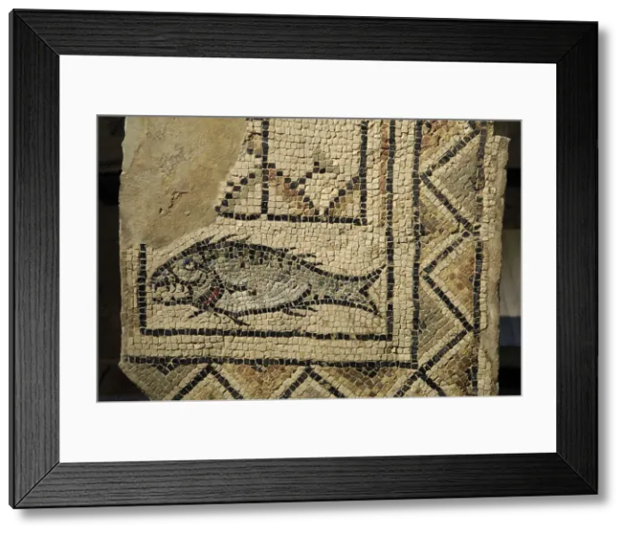 Framed Print : CROATIA. Porec. Euphrasian Basilica (6th c.). Mosaic of a fish, symbol of the early christians. Early Byzantine art. Mosaic. AISA / Everett Collection**US SALES ONLY**