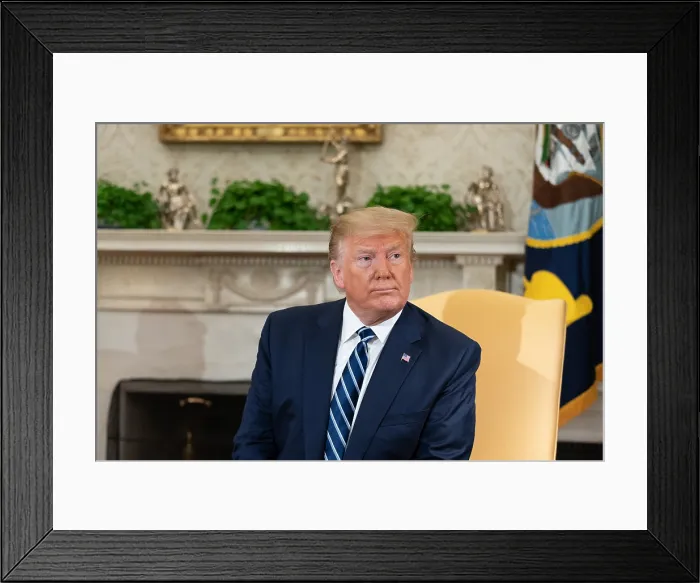 Framed Print : President Trump, during his meeting with Canadian Prime Minister Justin Trudeau, White House, Oval office, June 20, 2019 (BSLOC_2019_6_219)