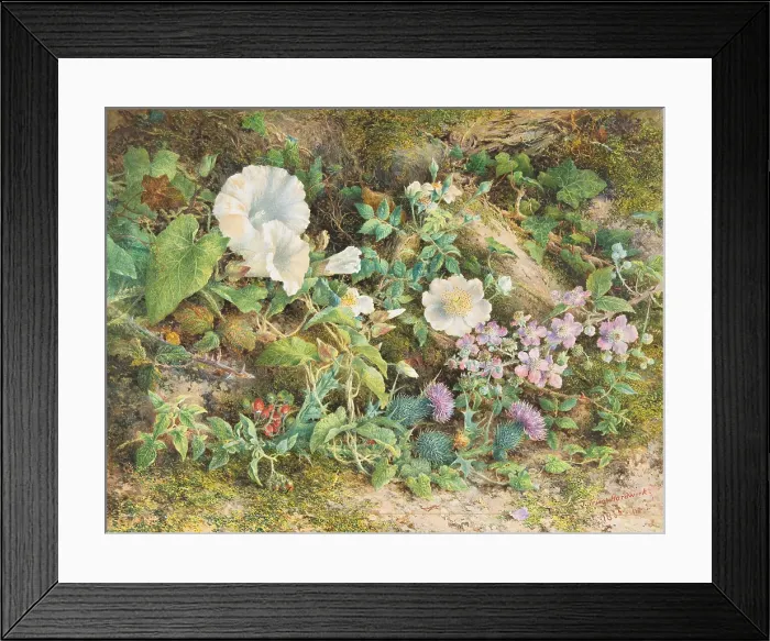 Framed Print : FLOWER STUDY, by John Jessop Hardwick, 1866, British watercolor painting. Petunias, wild roses, thistles, and red berries grow amongst moss and fallen logs
