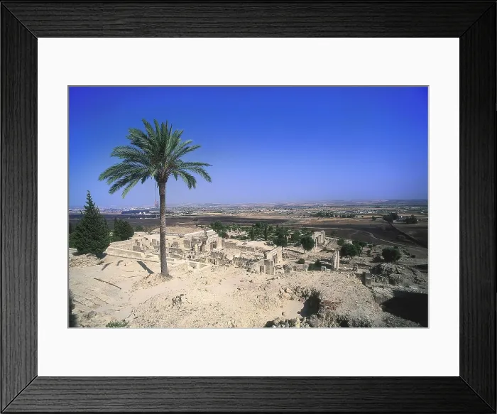 Framed Print : SPAIN. ANDALUSIA. Cordoba. Medina Azahara. Hispano-Moresque art. Caliphate period. Architecture. AISA / Everett Collection**US SALES ONLY**