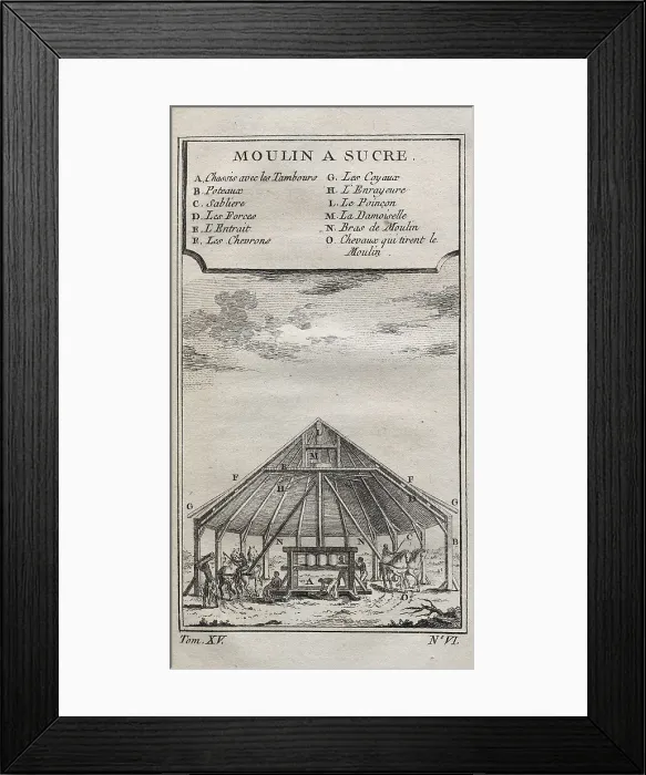 Framed Print : Black slaves grinding sugarcanes in a mill (1759). Engraving. AISA / Everett Collection**US SALES ONLY**