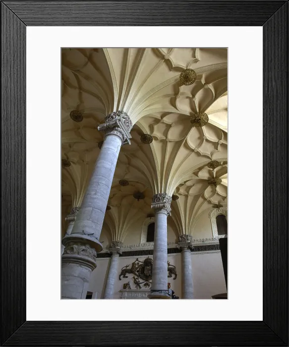 Framed Print : SPAIN. Zaragoza. Interior of La Lonja (1541-1557), old exchange building, by Juan de Sariena. Gothic art. AISA / Everett Collection**US SALES ONLY**
