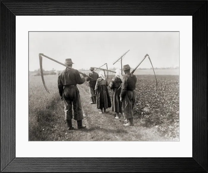 Framed Print : Five peasant farmers on their way to the fields to harvest grain or hay in Lowice, Poland, 1919-1921