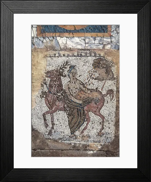 Framed Print : TUNISIA. Carthage. House of Horses. Roman art. Early Empire. Mosaic. AISA / Everett Collection**US SALES ONLY**