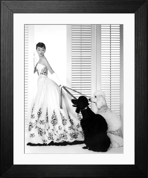 Framed Print : SABRINA, Audrey Hepburn (wearing a Givenchy gown), 1954 Framed Print : SABRINA, Audrey Hepburn (wearing a Givenchy gown), 1954
