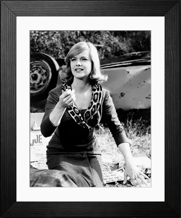 Framed Print : THE SATAN BUG, Anne Francis, 1965 Framed Print : THE SATAN BUG, Anne Francis, 1965