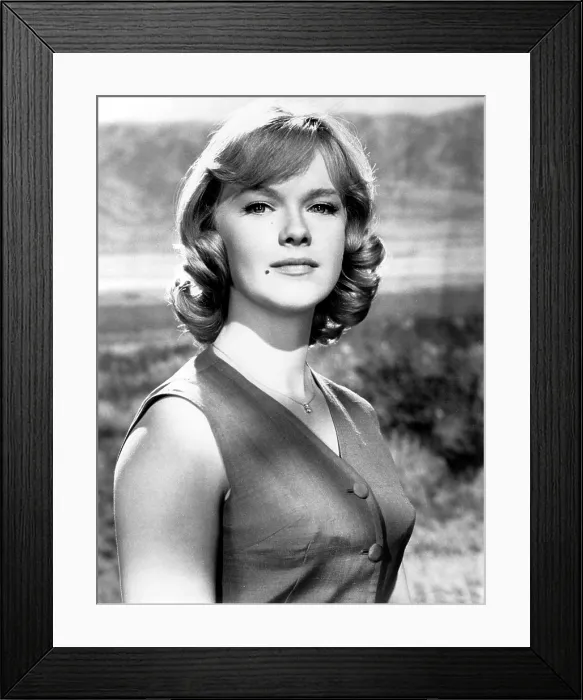 Framed Print : THE SATAN BUG, Anne Francis, 1965